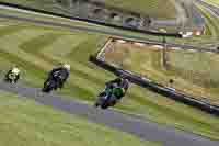 Lower Group Green Bikes